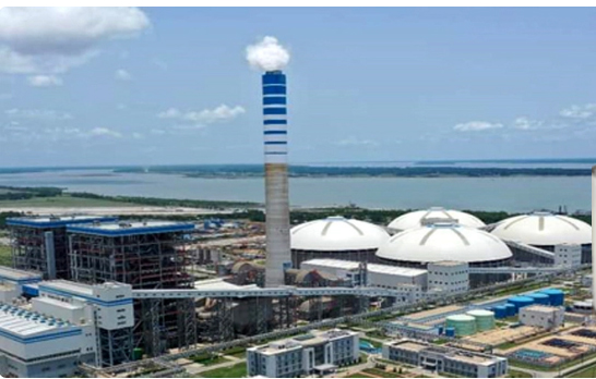 ফের ‘ডানা মেলল’ পায়রা