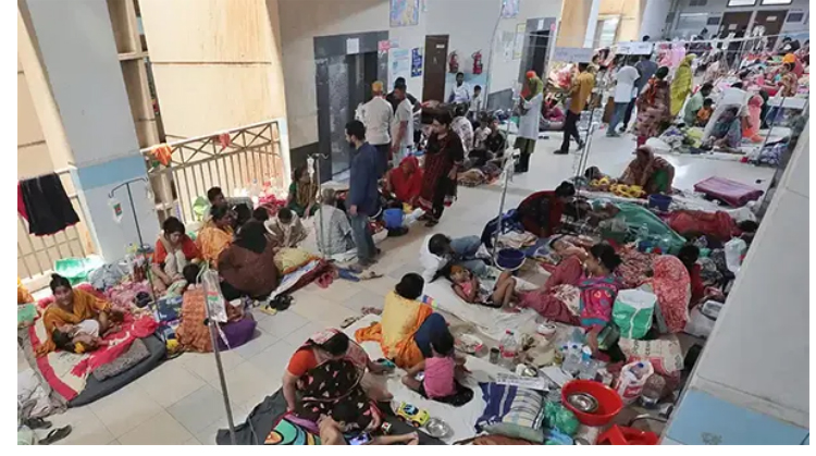 দেশে ডেঙ্গুতে জুলাই মাসে ২০৪ জনের প্রাণহানি