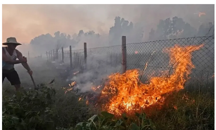 আলজেরিয়ায় ভয়াবহ দাবানল, নিহত ৩৪