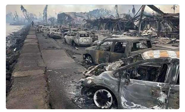 যুক্তরাষ্ট্রে ভয়াবহ দাবানলে তছনছ হাওয়াইয়ের একাংশ, নিহত বেড়ে ৫৫