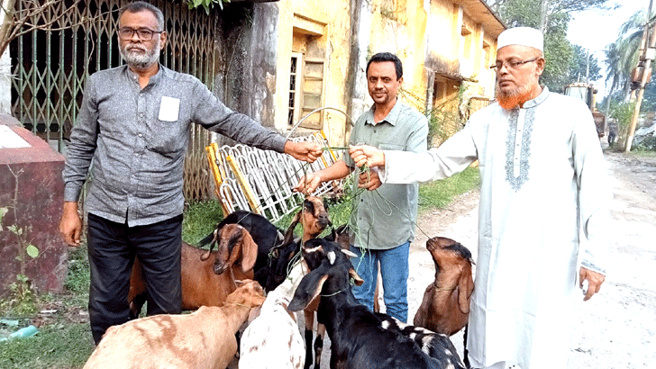 ১ বছর সাজা খেটে মুক্তি পেল ৯ ছাগল