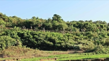 মিয়ানমার সীমান্তে গোলাগুলির শব্দ, স্কুল-মাদ্রাসা বন্ধ ঘোষণা