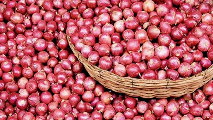 পেঁয়াজ রপ্তানিতে বাঁধা নেই ভারতের