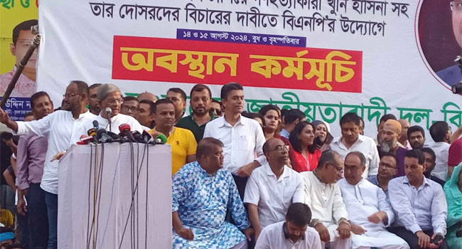 ভারতের সাহায্যে আ. লীগ আবারো অরাজকতা সৃষ্টি করতে চায়: মির্জা ফখরুল