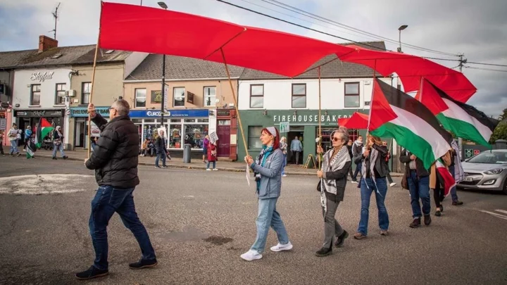 গাজায় গণহত্যার স্বীকৃতি দিল আয়ারল্যান্ড, ফিলিস্তিনে রাষ্ট্রদূত নিয়োগ