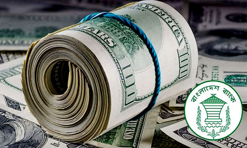 ২৭ দিনে রেমিট্যান্স ২০৮ কোটি ৭০ লাখ ডলার