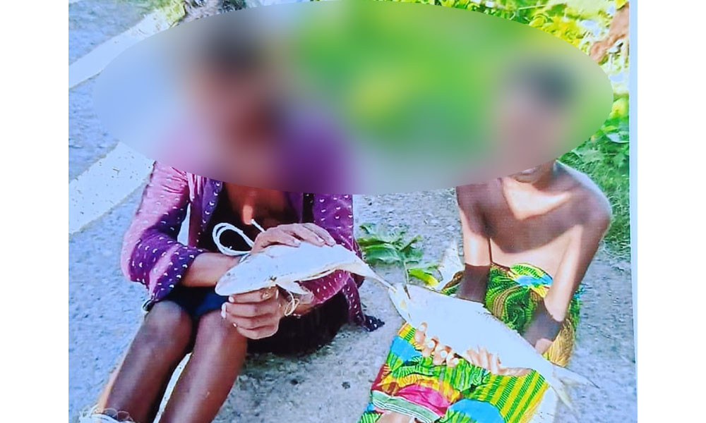 ইলিশ মাছ চুরির অভিযোগ ২ শিশুর হাত-পা বেঁধে নির্যাতন