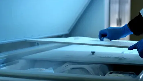 দুই দশক ধরে মেয়ের মৃতদেহ ফ্রিজে, গ্রেপ্তার জাপানি নারী