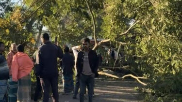 মৌলভীবাজারে সড়কে গাছ ফেলে অবরোধ