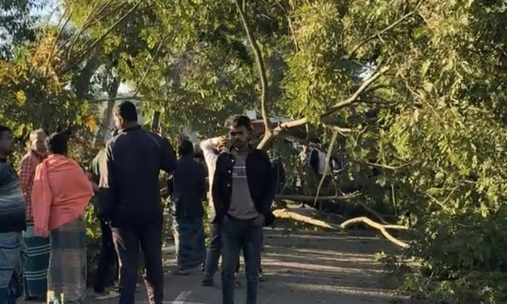 মৌলভীবাজারে সড়কে গাছ ফেলে অবরোধ