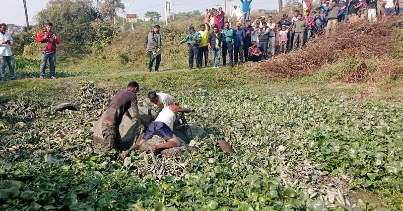 ট্রেনের ধাক্কায় সিলেটে খাদে পডা হাতি উদ্ধার করলো ফায়ার সার্ভিস