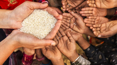 শুধু জ্বালানিই নয়, ইরান যুদ্ধে ভয়াবহ খাদ্যসংকটের ঝুঁকিতে বিশ্ব!