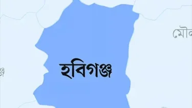হবিগঞ্জে পিকআপ খাদে পড়ে মা-ছেলেসহ নিহত ৪