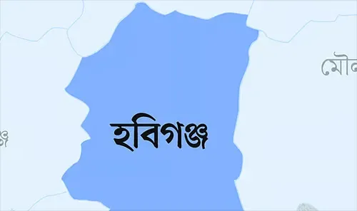 হবিগঞ্জে পিকআপ খাদে পড়ে মা-ছেলেসহ নিহত ৪