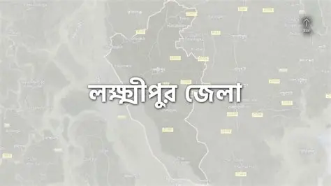 লক্ষ্মীপুরে ঘুমন্ত ছেলেসহ ৩ জনকে কুপিয়ে ছাদ থেকে লাফ দিয়ে বাবার মৃত্যু