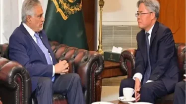 পাকিস্তানকে পুরো সমর্থন জানালো চীন