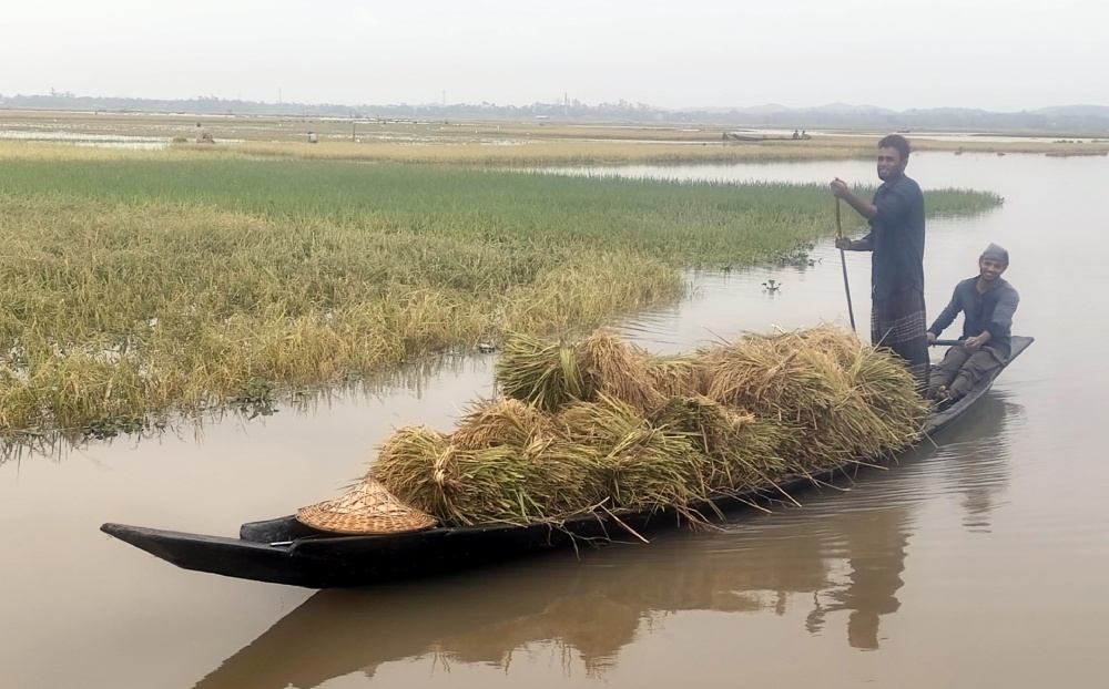 হাকালুকির পানিতে ভাসছে কৃষকের স্বপ্ন