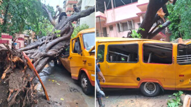মুম্বাইয়ে স্কুল বাসে ভেঙে পড়ল বিশাল গাছ, হতাহত ১১