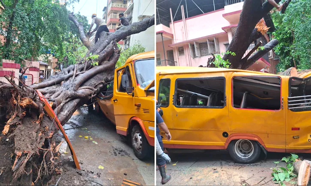 মুম্বাইয়ে স্কুল বাসে ভেঙে পড়ল বিশাল গাছ, হতাহত ১১