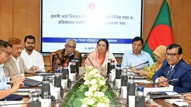 প্রবাসী কার্ডধারীরা বিমান টিকিট, লাউঞ্জে বিশেষ সুবিধা পাবেন